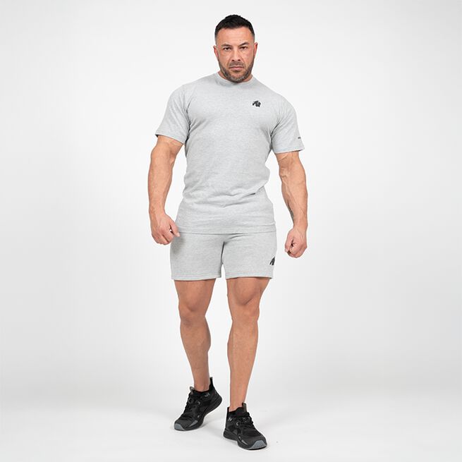 Leon T-shirt Grå