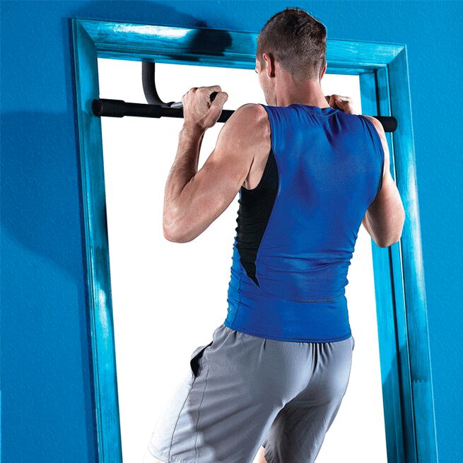 SPRI Premium Pull Up Bar