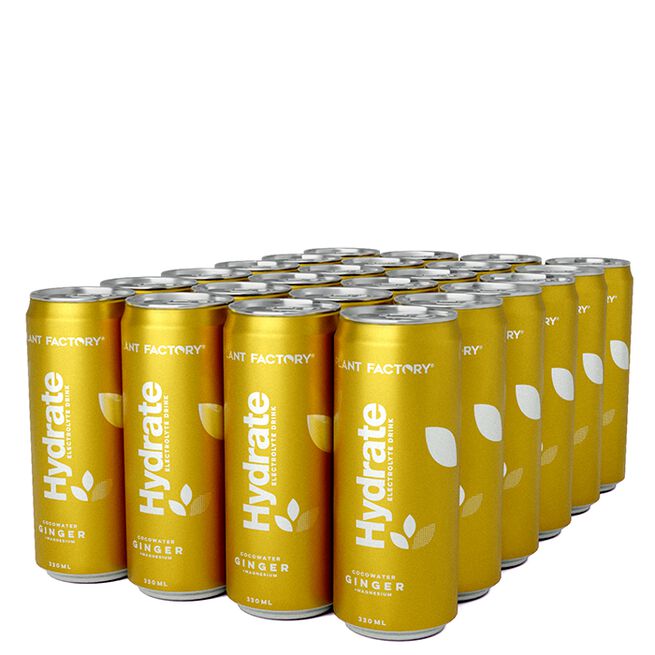 24 x Hydrate Kolsyrat Kokosvatten Flak 330 ml Ginger