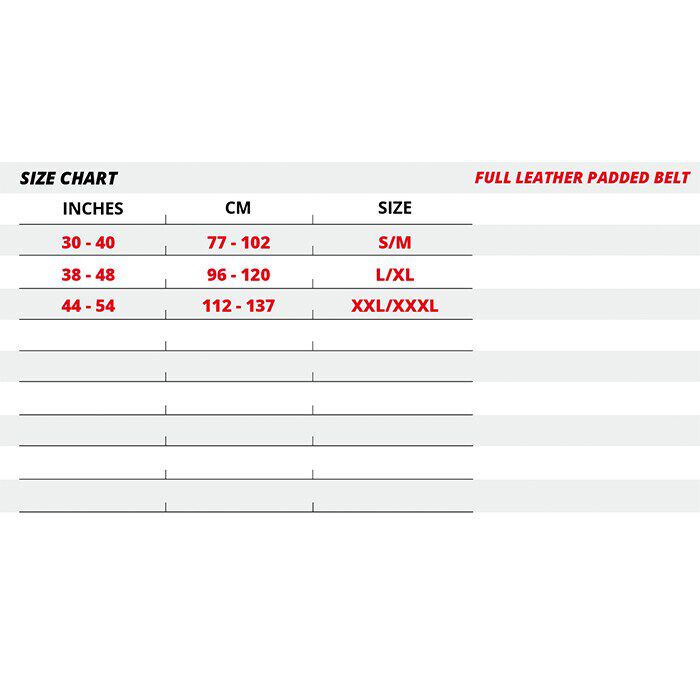 6 Inch Vadderat Lyftarb&auml;lte L&auml;der Svart/Guld