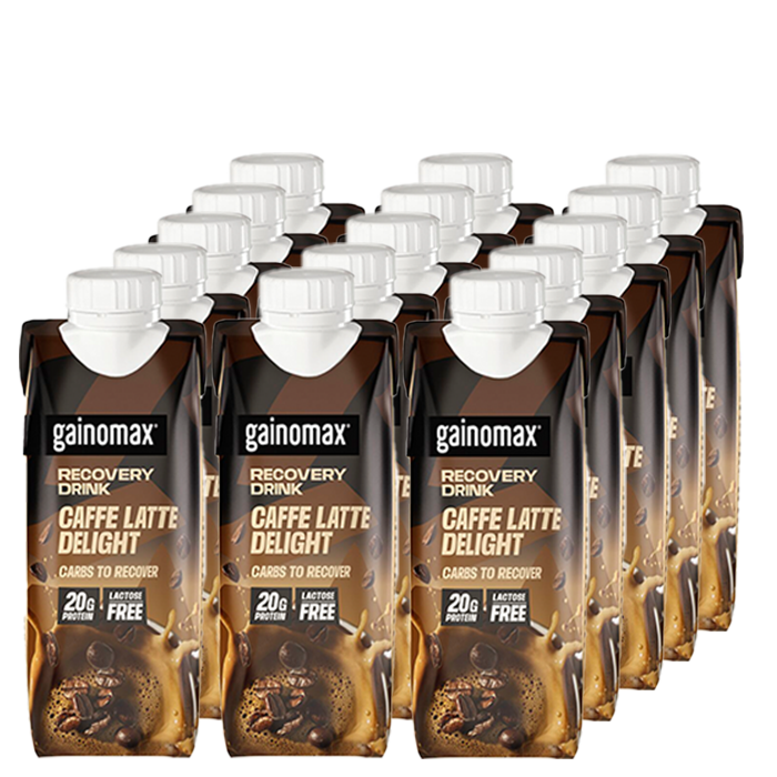 15 x Gainomax Recovery Drink 250 ml choklad