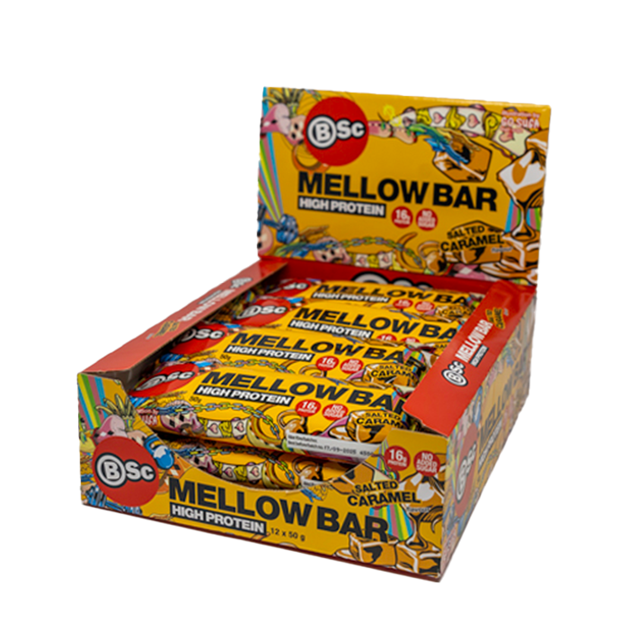 Mellow Bar Proteinbar 12 x 50 g salted_caramel